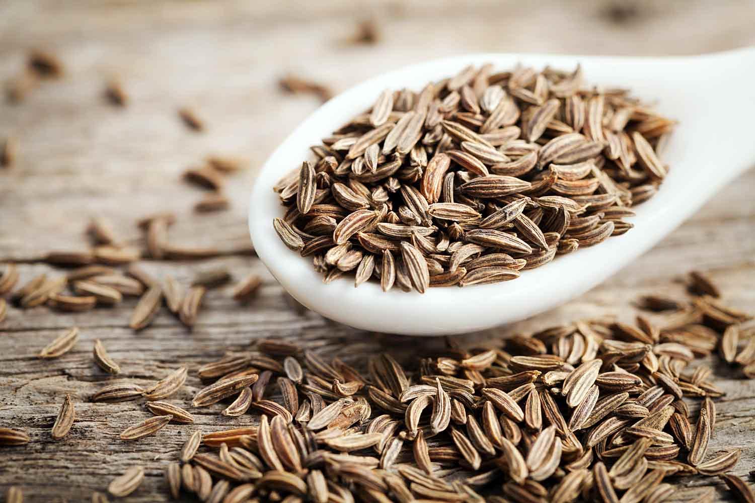 Cumin Seeds Purity 99%, Packaging 25kg Pp Bags, Container Load 14MT x 20ft Container